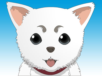 あなたの心の癒しはなんですか？