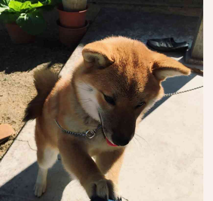 ガルちゃんで思わず保存した画像