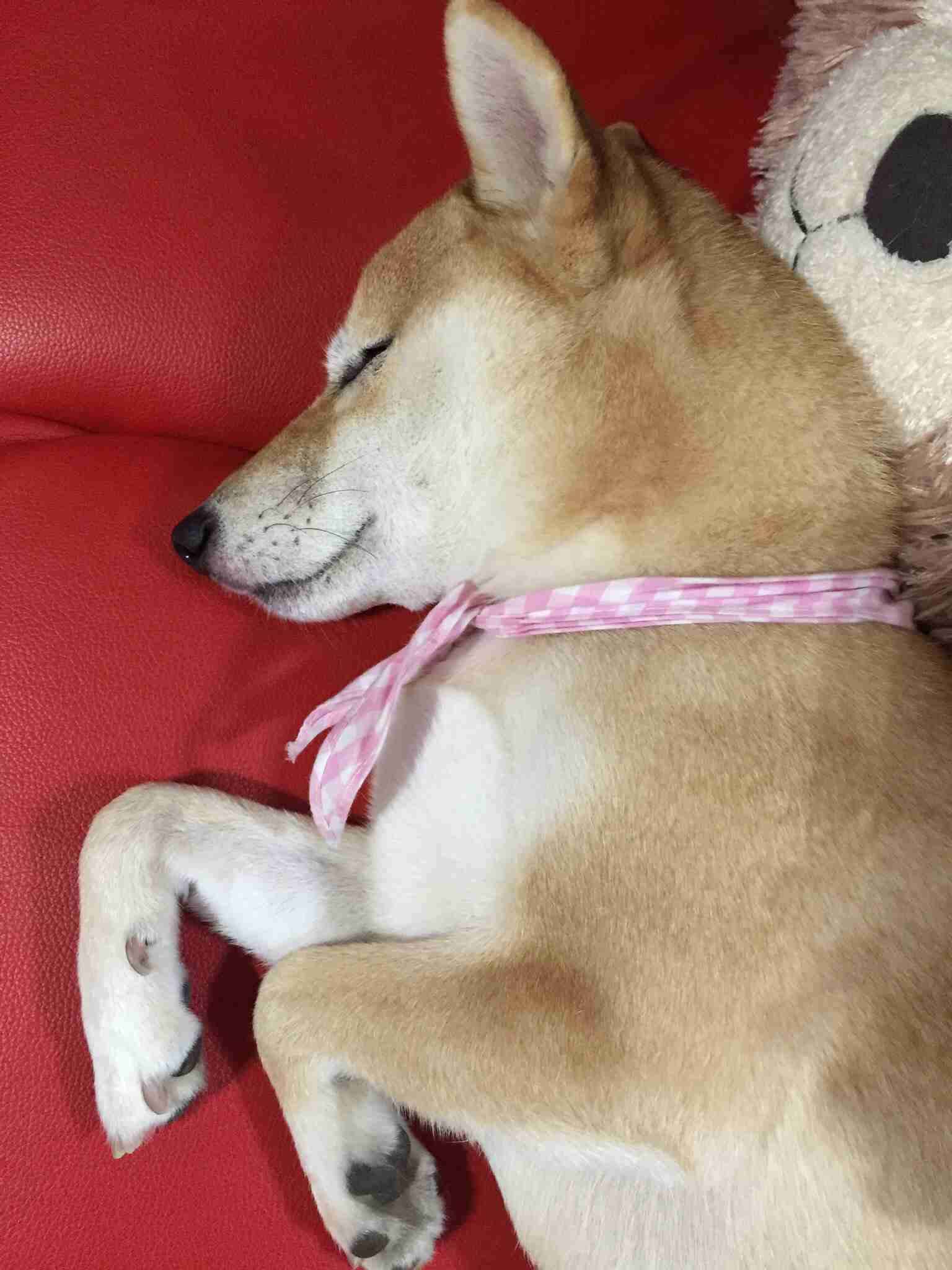 ガルちゃんで思わず保存した画像