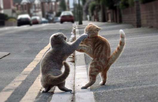 怒った方が悪いですか？怒られた方が悪いですか？