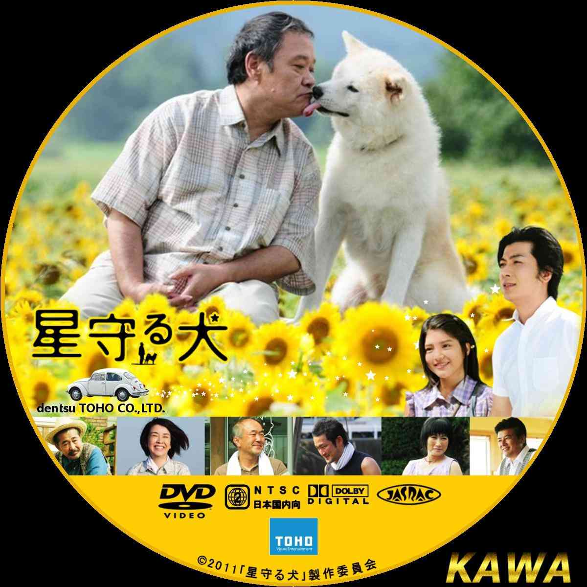 涙活にオススメのDVDは？