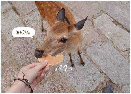 〇〇（地名）といえば〇〇（食べ物）！