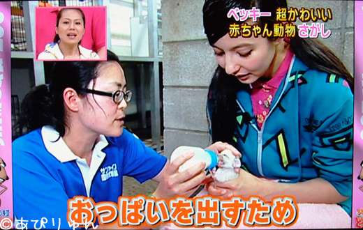 『 天才！志村どうぶつ園』を語ろう！