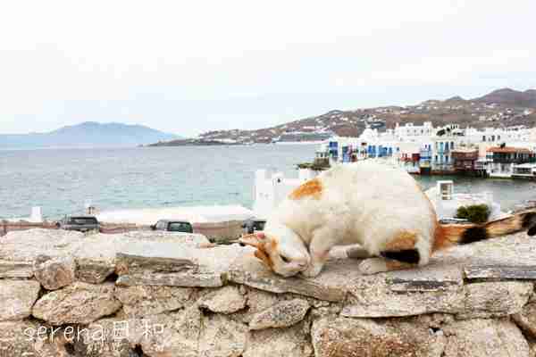 マイナスを気にせずに思ったことを書くトピ