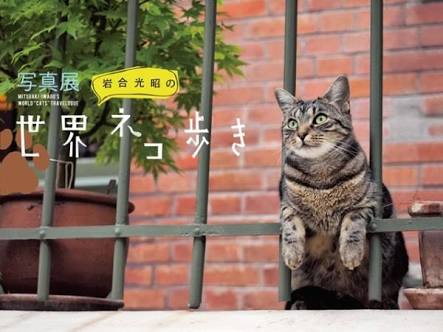 信用してる企業・ブランド