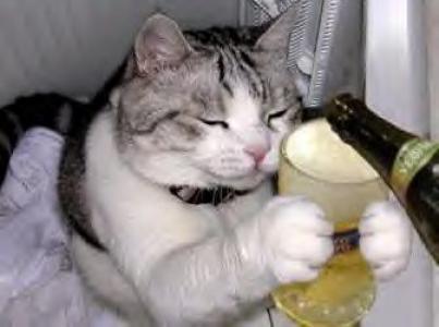 仕事が休みの日は昼からお酒飲んじゃう人ー!
