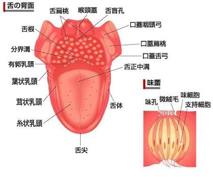 味覚障害の方や、周りにいる方！