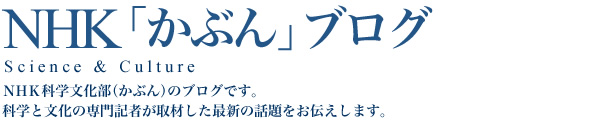 解説）妊婦さん注意！サイトメガロウイルス | NHK「かぶん」ブログ:NHK