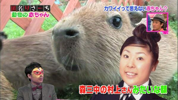この人、動物っぽいなって人