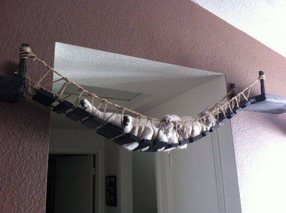 凄いところで寝てる猫の画像