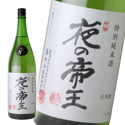 夜の◯◯と言えば