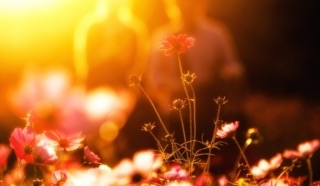 失恋した時に励まされるトピ