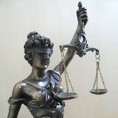 調停や裁判の経験談を、語ってください！