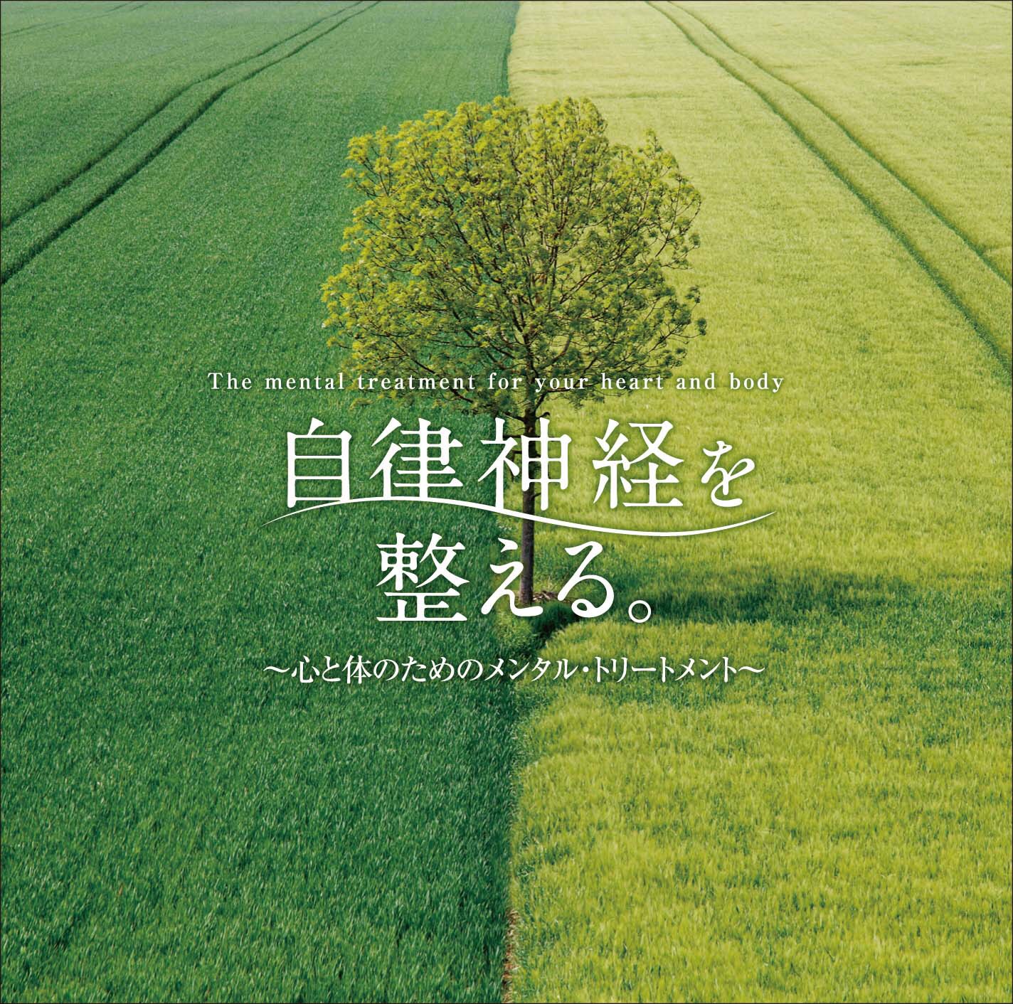 好きなヒーリングミュージック♫