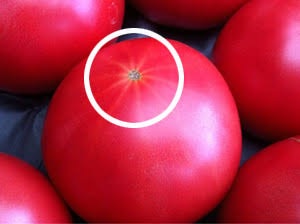 野菜の選び方