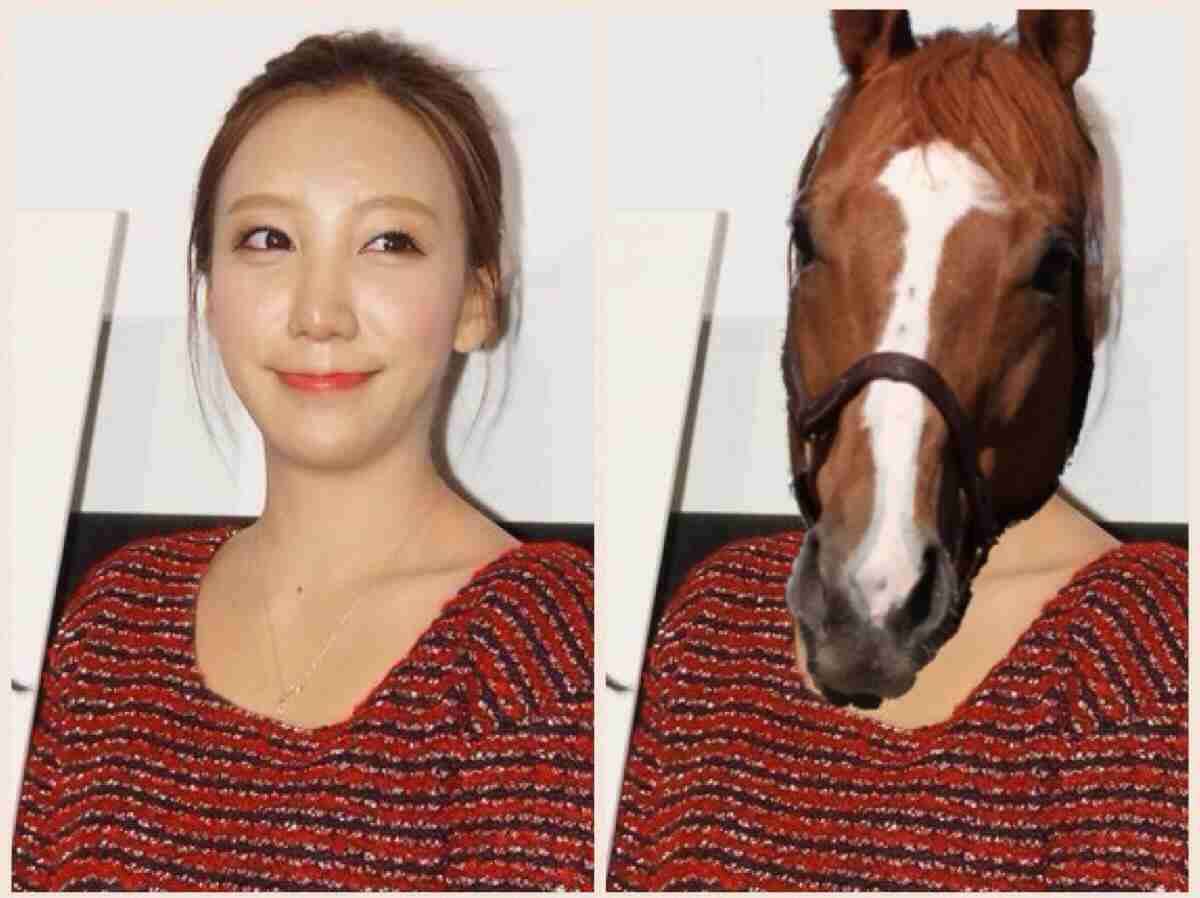 ざわちんが7日間連続で有名人に大変身！白石麻衣、有村架純、水原希子など