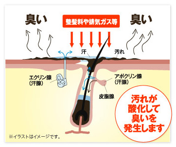 頭皮 脂っぽい 1696