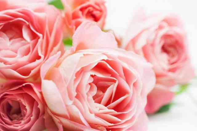 30代後半〜不妊治療中の方、お話しませんか…？