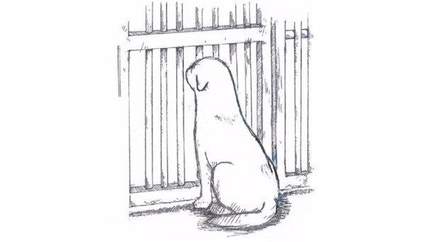 「ある犬のおはなし」 | ANIMALive