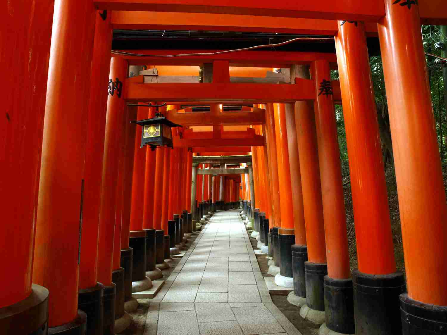 目の保養トピ〈Japanese〉