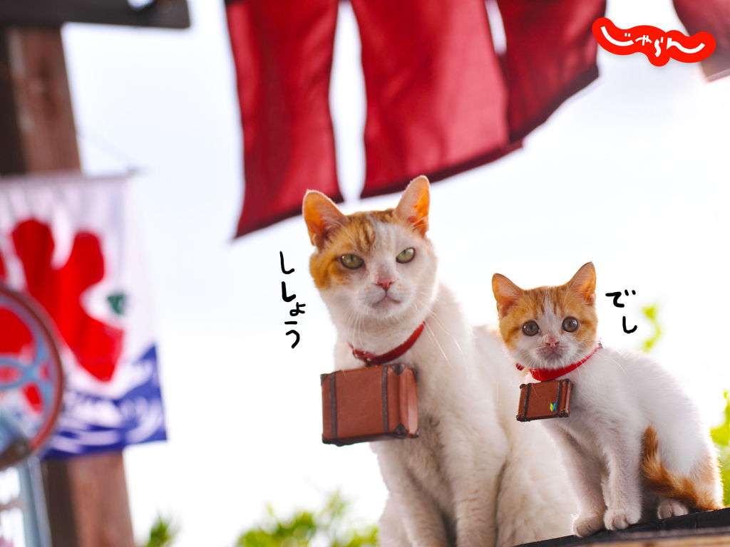 ガルちゃん内で好感度調査！