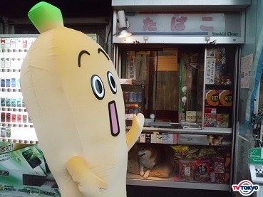 【悲報】タバコ屋閉店にともない柴犬の店長が引退！