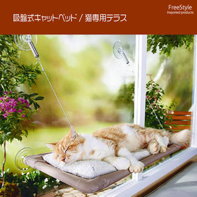 ネコ好きの理想の部屋