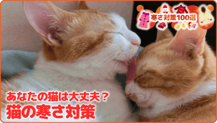 暖房つけてますか？？