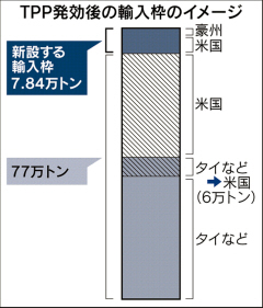 ＴＰＰ影響抑制策、コメ価格維持に重点　牛・豚肉は支援拡充も　　：日本経済新聞