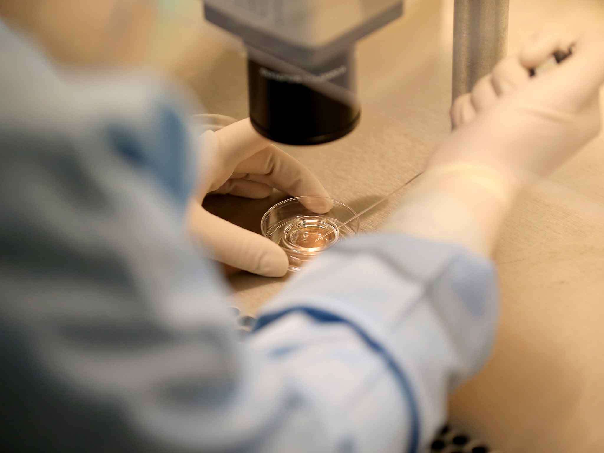 'Human chimera': Man fails paternity test because genes in his saliva are different to those in sperm | Science | News | The Independent