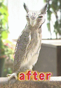 好きな変身シーンは？