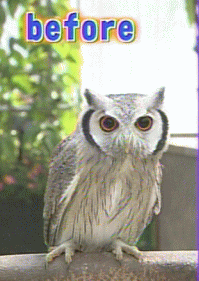 好きな変身シーンは？