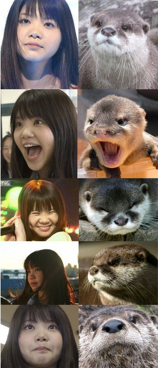 この人、動物っぽいなって人