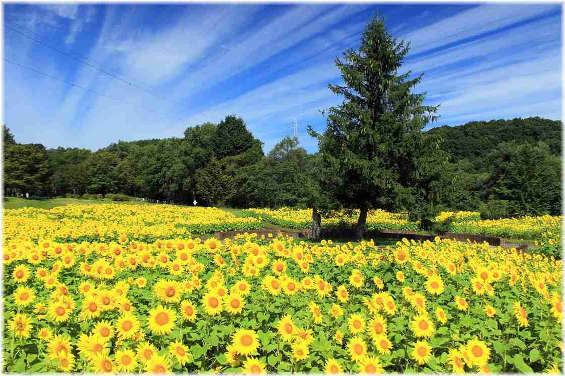 岩手県あるある