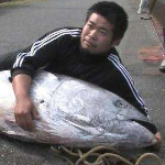 熊本の川でマグロが発見される　→　住民が食べる