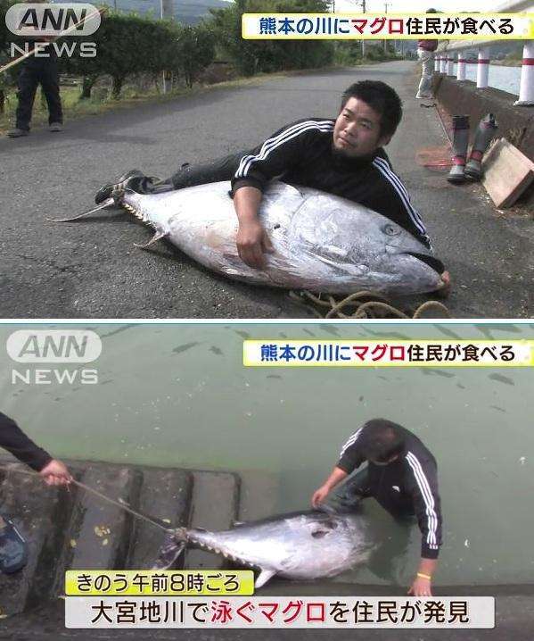 北斗晶が近所の川でエイを発見、愛犬散歩中のまさかの遭遇に驚く