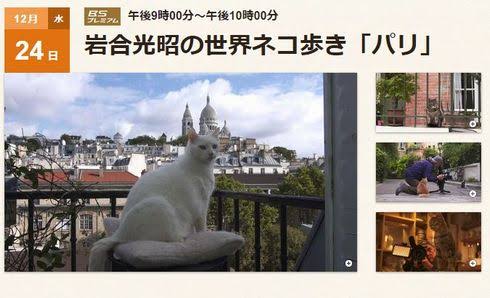 【テレビ】ほぼ毎回欠かさず見てる（見てた）番組は？