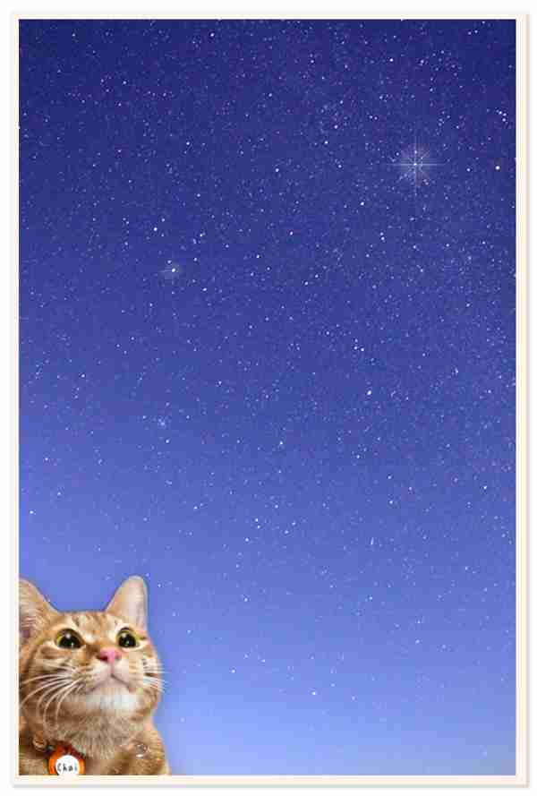 星に願いを!今夜~明朝に『オリオン座流星群』がピーク