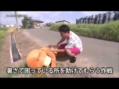 【探偵！ナイトスクープ】大阪のおっさんと北海道の少年の友情【 - YouTube