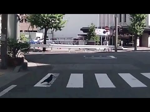不思議な出来事