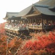 日光紅葉2015　シーズンお出かけ　電車・バス利用の場合 | 豆コト☆browsing room