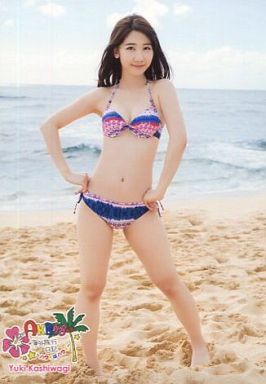 芸能人の水着画像を貼るトピ