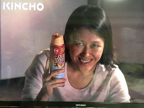 密室で虫に遭遇した時