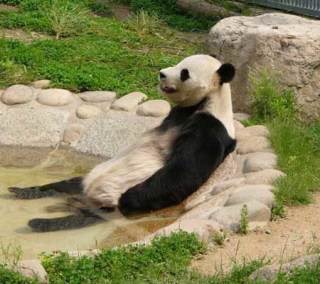 気をつかいすぎて生きづらい人
