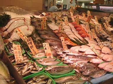 専門店での買い物！