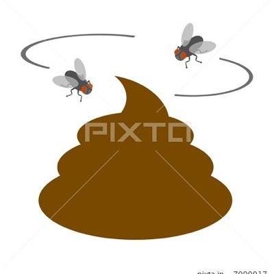 舞台版「ハイキュー!!」俳優の林剛史がファンの深夜に及ぶ迷惑行為に不快感