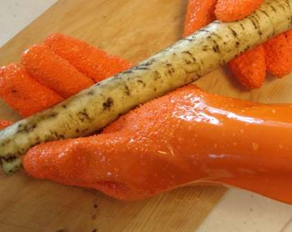 根菜あるある・根菜に関する総合トピ
