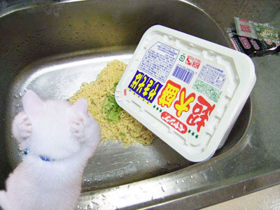 これやらかしたことある？ない？