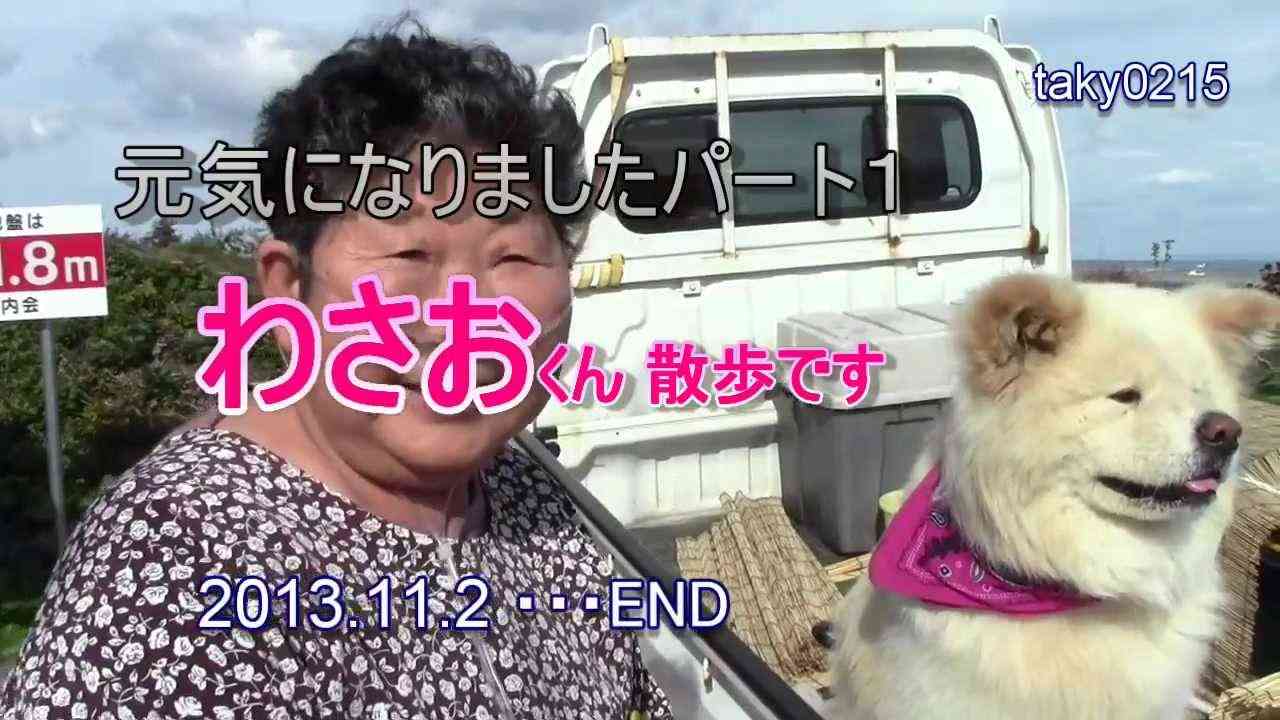 わさお お母さんが皆さんにコメント。元気に海岸散歩するWasao。2013.11.2. - YouTube