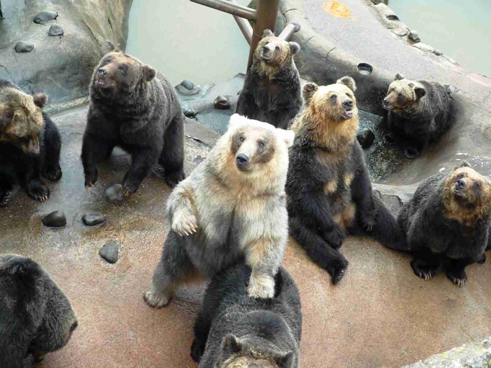 北海道のイメージ